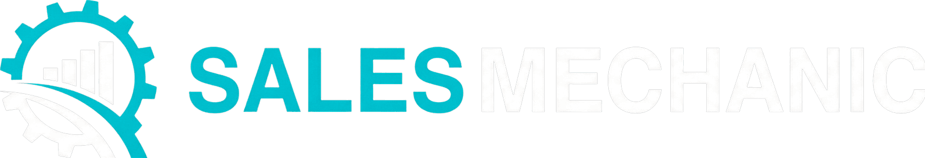 Sales Mechanic